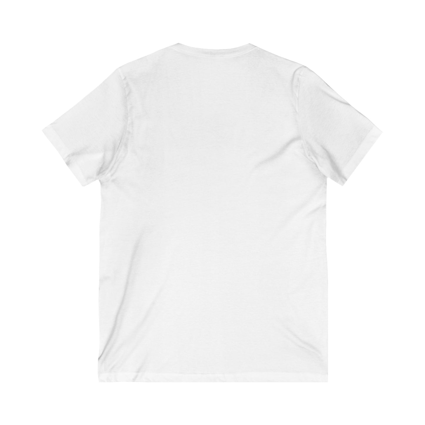 Antarctic Attire: I Survived the Drake Passage V-Neck Tee
